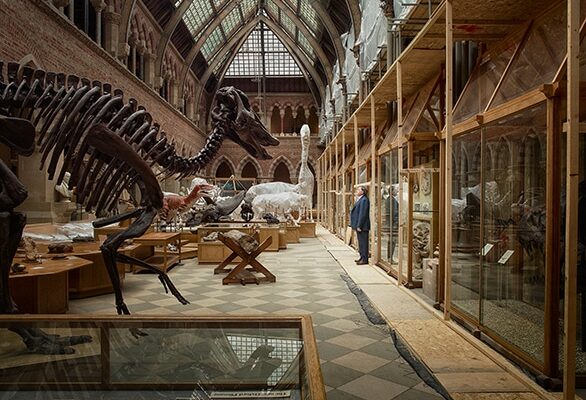 000851_ JoannaVestey_Custodians_NaturalHistoryMuseum_2013