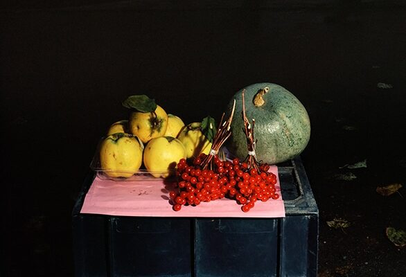 Still life with guelder-rose