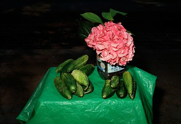 Still life with cucumber