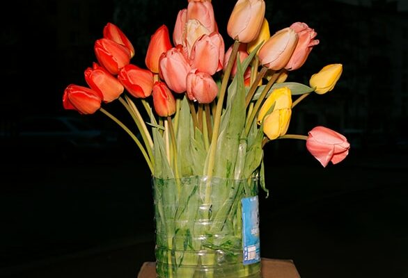 Still life with tulips