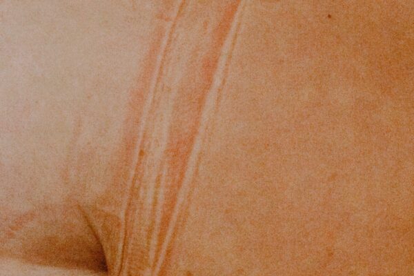 04_Sorgini_Lisa_Stretched