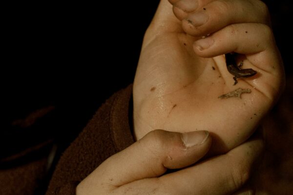 14_Sorgini_Lisa_He catches lizards