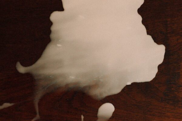 15_Sorgini_Lisa_Spilled again